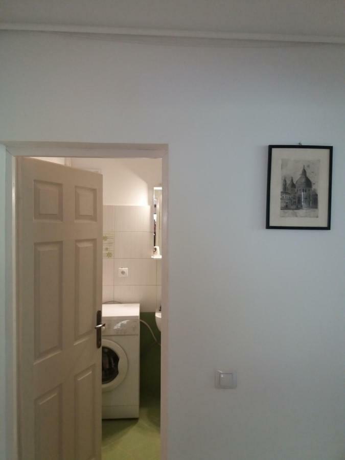 Charming Downtown Apartment Brasov